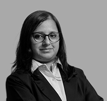 Dr. Navaneeta Majumder